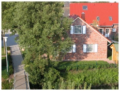 Evermannsgatt 12, Sielhuus