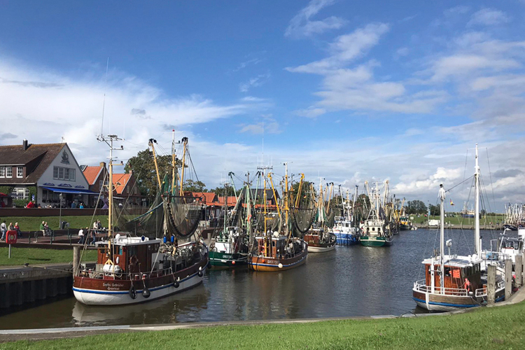 Greetsiel, Schollenweg 5 / Wohung: Kleine Scholle Greetsiel, Schollenweg 5 / Wohung: Kleine Scholle