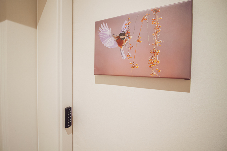 Upleward, Schwitterslohne 1 / Wohnung: Ferienwohnung Sanddorn