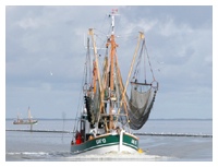 Hafen